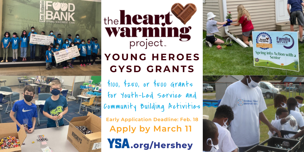 Young Heroes GYSD Grants